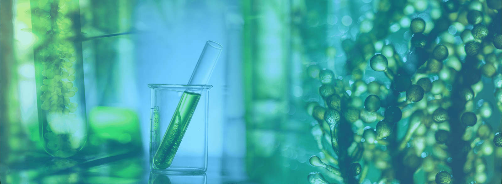 Breadcum Background Image (1)